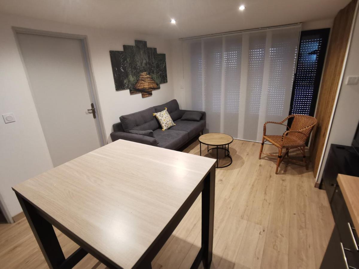 Gite 2 Chambres Avec Piscine 塞尔纳克 外观 照片