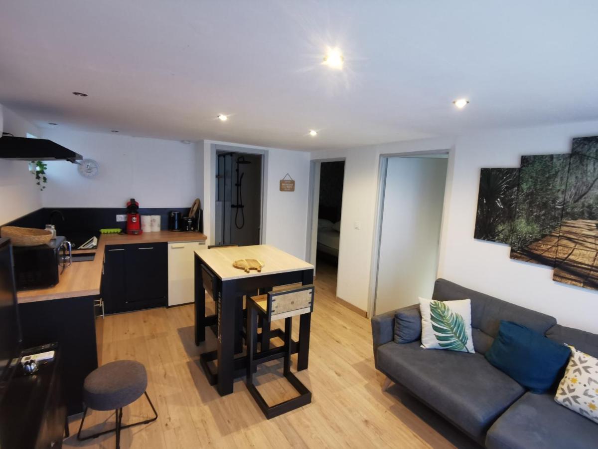 Gite 2 Chambres Avec Piscine 塞尔纳克 外观 照片