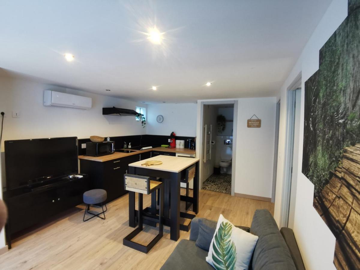 Gite 2 Chambres Avec Piscine 塞尔纳克 外观 照片